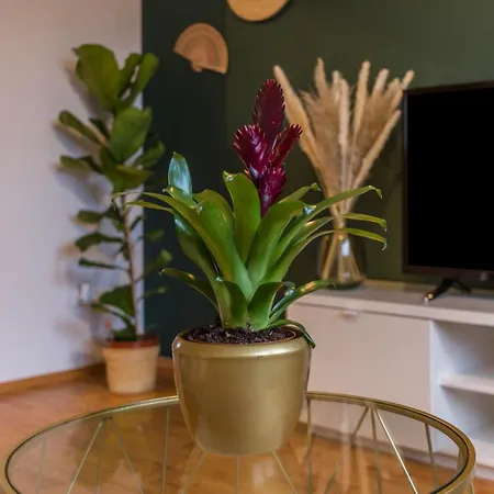 Appartement Ferienwohnung Achtal *